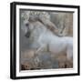 Horse Exposures IV-Susan Friedman-Framed Art Print