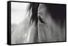 Horse Eye Close-Up-Digidesign-Framed Stretched Canvas