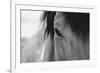 Horse Eye Close-Up-Digidesign-Framed Photographic Print