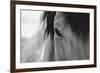 Horse Eye Close-Up-Digidesign-Framed Photographic Print