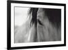 Horse Eye Close-Up-Digidesign-Framed Photographic Print