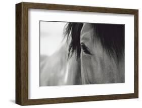 Horse Eye Close-Up-Digidesign-Framed Photographic Print