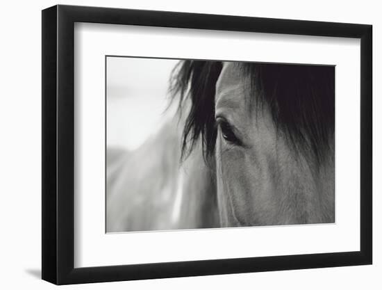 Horse Eye Close-Up-Digidesign-Framed Photographic Print