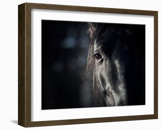 Horse Eye In Dark-mari_art-Framed Art Print