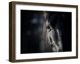 Horse Eye In Dark-mari_art-Framed Art Print