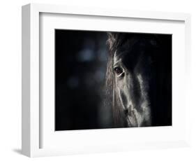 Horse Eye In Dark-mari_art-Framed Art Print