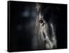 Horse Eye In Dark-mari_art-Framed Stretched Canvas