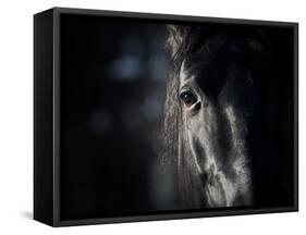 Horse Eye In Dark-mari_art-Framed Stretched Canvas