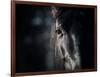 Horse Eye In Dark-mari_art-Framed Art Print