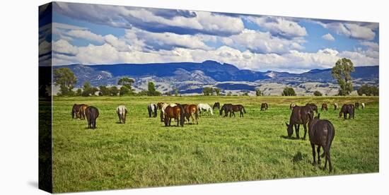 Horse farm in Grand Teton National Park, Wyoming, USA-null-Stretched Canvas