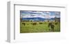 Horse farm in Grand Teton National Park, Wyoming, USA-null-Framed Art Print