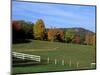 Horse Farm in New England, New Hampshire, USA-Jerry & Marcy Monkman-Mounted Photographic Print