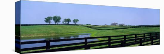 Horse Farm, Kentucky, USA-null-Stretched Canvas