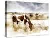 Horse Feeding off Dry Brush Growing out of Sand-Jan Lakey-Stretched Canvas