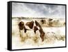Horse Feeding off Dry Brush Growing out of Sand-Jan Lakey-Framed Stretched Canvas