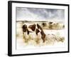 Horse Feeding off Dry Brush Growing out of Sand-Jan Lakey-Framed Photographic Print