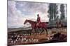 Horse Fox Hunt II-Timothy Blossom-Mounted Art Print