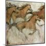 Horse Fresco I-Tim O'toole-Mounted Art Print