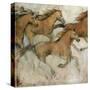 Horse Fresco I-Tim O'toole-Stretched Canvas