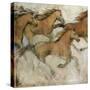 Horse Fresco I-Tim O'toole-Stretched Canvas