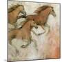 Horse Fresco II-Tim O'toole-Mounted Art Print