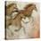 Horse Fresco II-Tim O'toole-Stretched Canvas