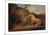 Horse Frightened by a Lion-George Stubbs-Mounted Premium Giclee Print