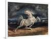 Horse Frightened by Lightning-Eugene Delacroix-Framed Premium Giclee Print