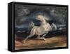 Horse Frightened by Lightning-Eugene Delacroix-Framed Stretched Canvas
