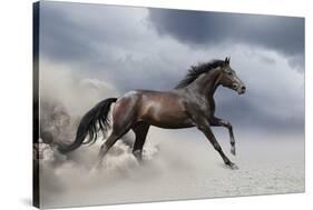 Horse Gallop in Desert-Callipso88-Stretched Canvas
