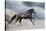 Horse Gallop in Desert-Callipso88-Stretched Canvas