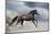 Horse Gallop in Desert-Callipso88-Mounted Photographic Print