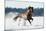 Horse Gallops in Winter-Alexia Khruscheva-Mounted Photographic Print