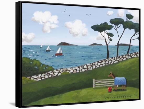 Horse, Gate and Sailing Boats-Sophie Harding-Framed Stretched Canvas