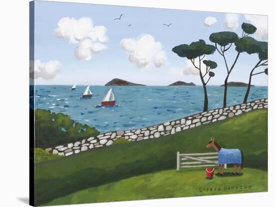 Horse, Gate and Sailing Boats-Sophie Harding-Stretched Canvas