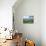 Horse, Gate and Sailing Boats-Sophie Harding-Stretched Canvas displayed on a wall