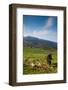 Horse grazing along the Jaizkibel Road, Hondarribia, Guipuzcoa Province, Basque Country Region,...-null-Framed Photographic Print