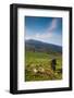 Horse grazing along the Jaizkibel Road, Hondarribia, Guipuzcoa Province, Basque Country Region,...-null-Framed Photographic Print