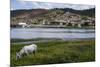 Horse Grazing Along the Rio Paraguacu in Cachoeira, Bahia, Brazil, South America-Michael Runkel-Mounted Photographic Print