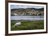 Horse Grazing Along the Rio Paraguacu in Cachoeira, Bahia, Brazil, South America-Michael Runkel-Framed Photographic Print