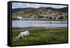 Horse Grazing Along the Rio Paraguacu in Cachoeira, Bahia, Brazil, South America-Michael Runkel-Framed Stretched Canvas