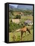 Horse Grazing on a Hillside in the Valle De Vinales, Pinar Del Rio Province, Cuba-Martin Child-Framed Stretched Canvas