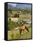 Horse Grazing on a Hillside in the Valle De Vinales, Pinar Del Rio Province, Cuba-Martin Child-Framed Stretched Canvas