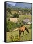 Horse Grazing on a Hillside in the Valle De Vinales, Pinar Del Rio Province, Cuba-Martin Child-Framed Stretched Canvas