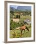 Horse Grazing on a Hillside in the Valle De Vinales, Pinar Del Rio Province, Cuba-Martin Child-Framed Photographic Print