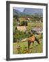 Horse Grazing on a Hillside in the Valle De Vinales, Pinar Del Rio Province, Cuba-Martin Child-Framed Photographic Print