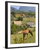 Horse Grazing on a Hillside in the Valle De Vinales, Pinar Del Rio Province, Cuba-Martin Child-Framed Photographic Print