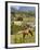 Horse Grazing on a Hillside in the Valle De Vinales, Pinar Del Rio Province, Cuba-Martin Child-Framed Photographic Print