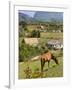 Horse Grazing on a Hillside in the Valle De Vinales, Pinar Del Rio Province, Cuba-Martin Child-Framed Photographic Print