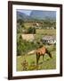 Horse Grazing on a Hillside in the Valle De Vinales, Pinar Del Rio Province, Cuba-Martin Child-Framed Photographic Print